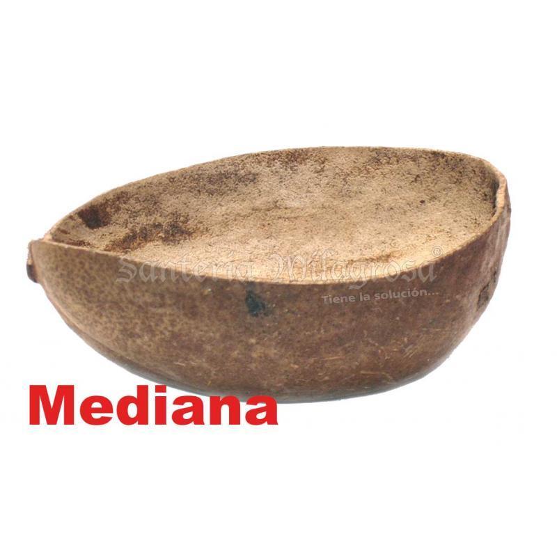 SANT. Jicara Mediana (de 12 a 16 cm)