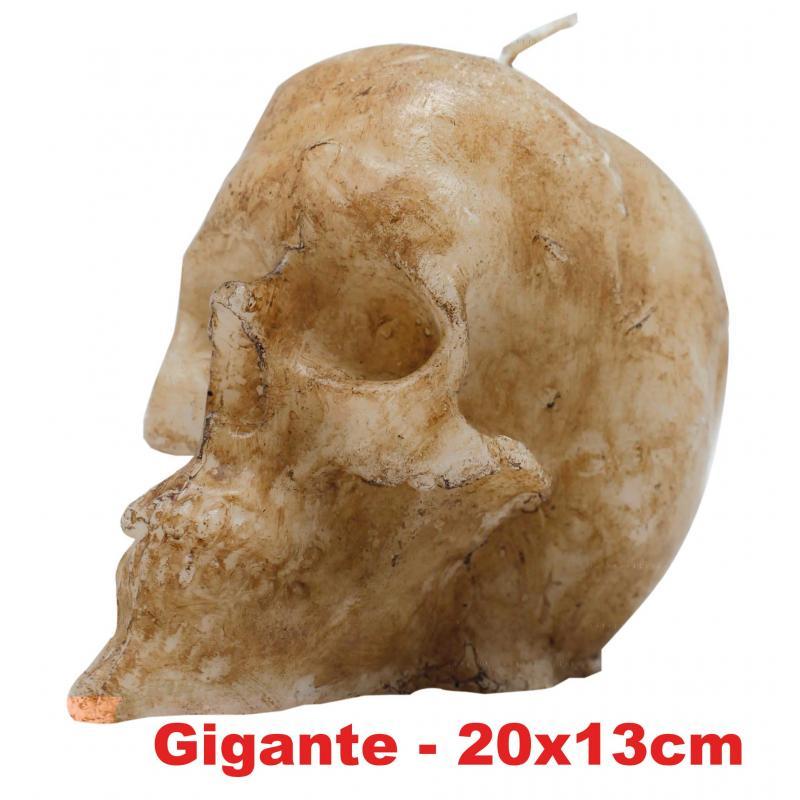 Vela Forma Craneo Gigante Marfil 13 cm (Natural) *