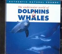 CD MUSICA DOLPHINS & WHALES: AUTHENTIC NATURAL SOUNDS
