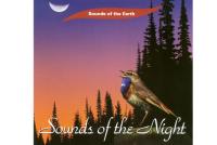 CD MUSICA SOUNDS OF THE NIGHT (PURE MUSIC, NO VOICES OR MUSI...