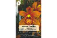 CARTAS FLORALES: CARTAS ORQUÍDEAS COLOMBIANAS (Libro + Cartas)