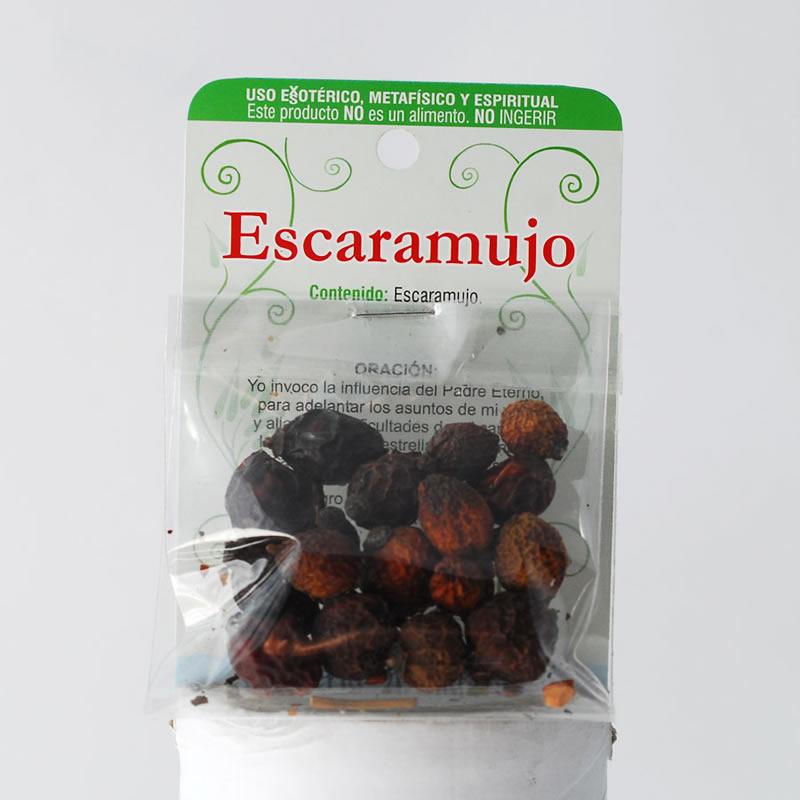 Hierba Escaramujo (Buen Fin del Propósito)