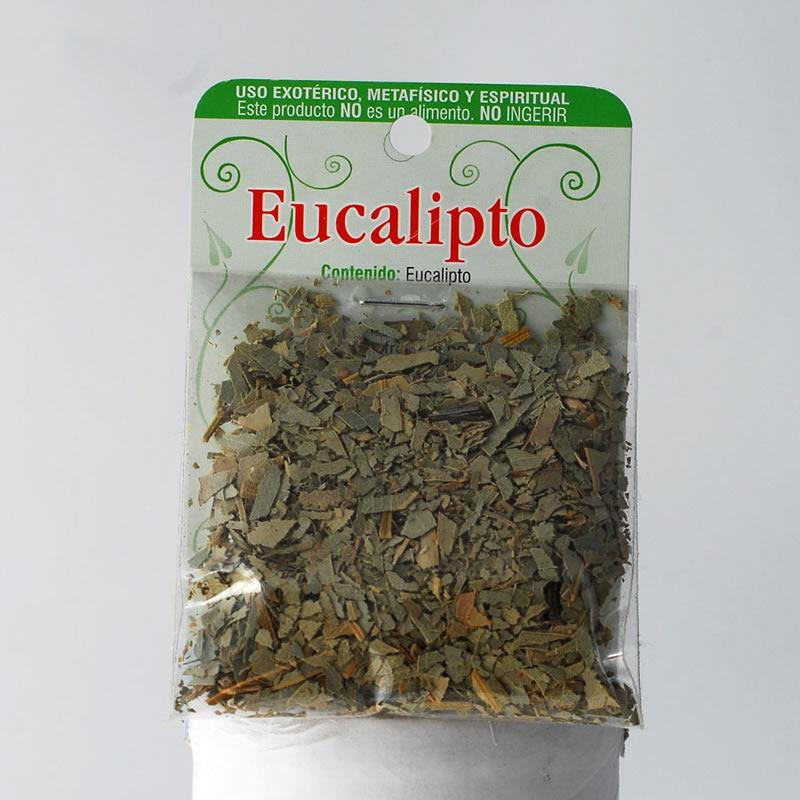 Hierba Eucalipto (Dinero)