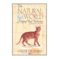 Tarot Cats - Natural World (54 Pocker) (Italiano - Modiano)