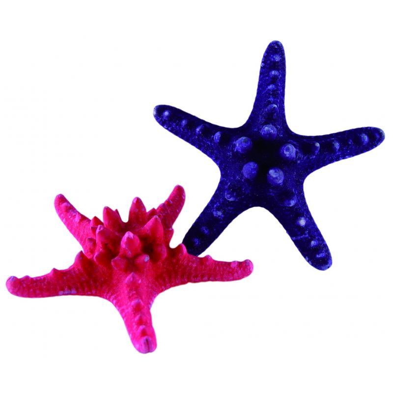 Art. Ritual Estrellade Mar Japonica 8 a 10 cm (Color Surtido)